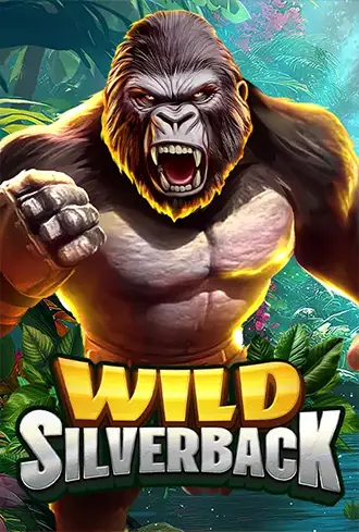 Wild Silverback