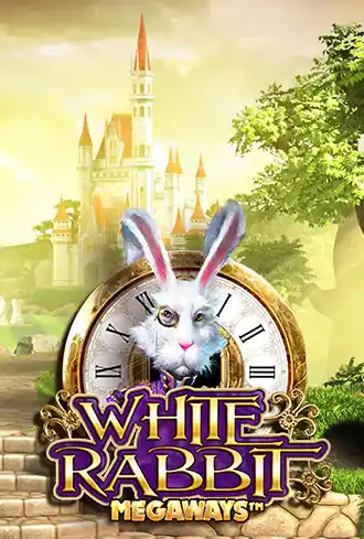 White Rabbit 