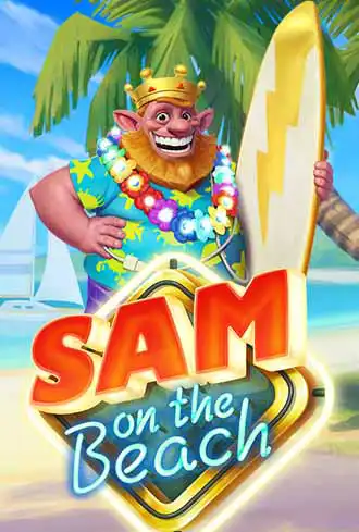 Sam on the beach