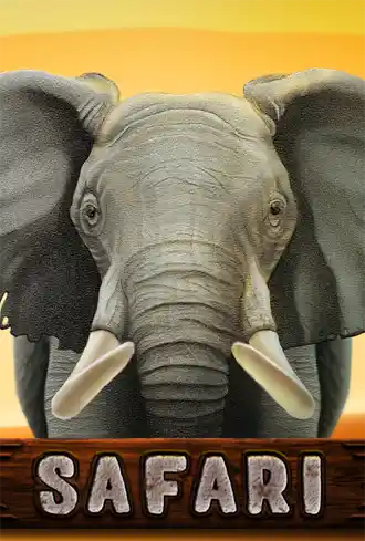 Safari