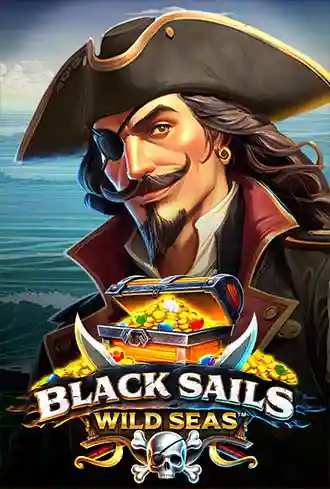 Black Sails Wild Seas