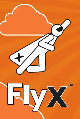 FlyX