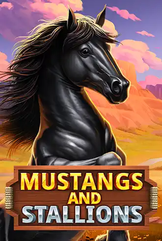 Mustang and Stallions
