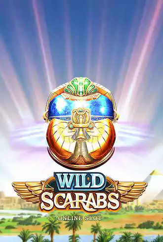 Wild Scarabs