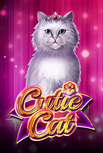 Cutie Cat