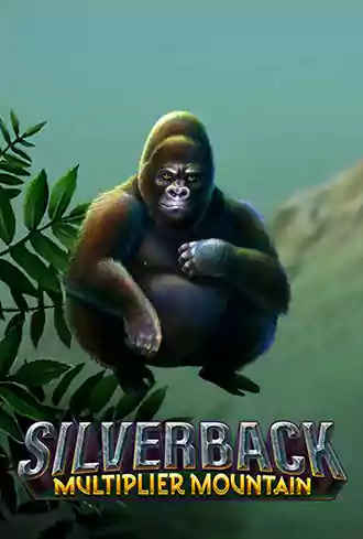 Silverback Multiplier Mountain