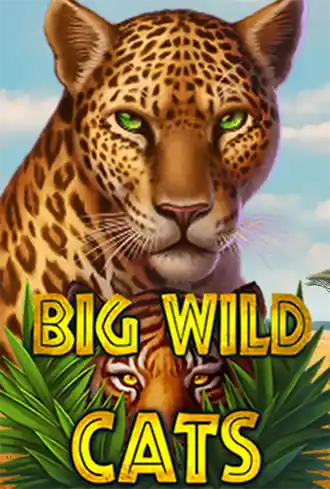 Big Wild Cats