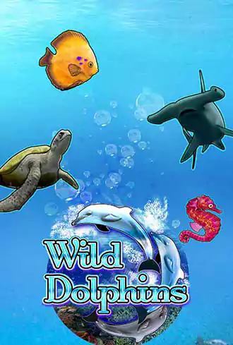 Wild Dolphins