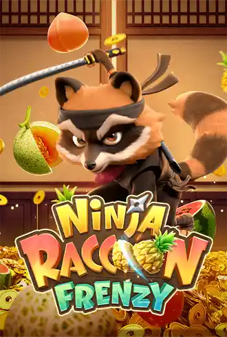 Ninja Raccoon Frenzy