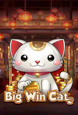 Big Win Cat