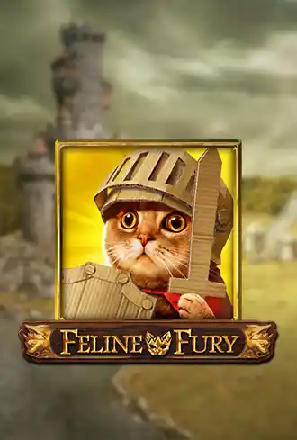 Feline Fury