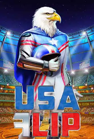 USA Flip