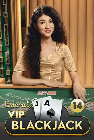 VIP Blackjack 14