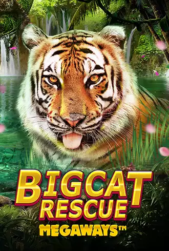 Big Cat Rescue Megaways