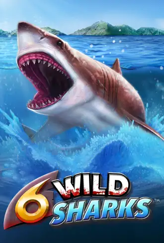 6 Wild Sharks