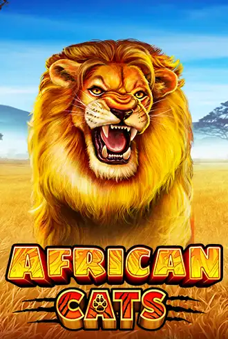 African Cats