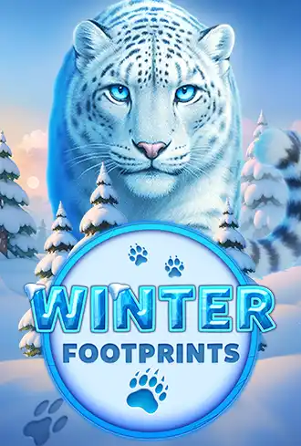 Winter Footprints