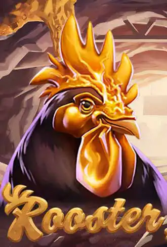 Rooster