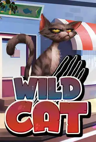 Wild Cat