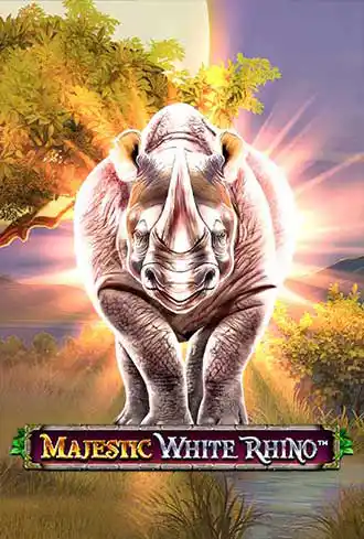 Majestic White Rhino