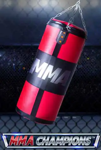 MMA Champions