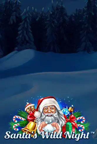 Santa’s Wild Night