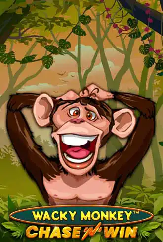 Wacky Monkey - Chase'N'Win