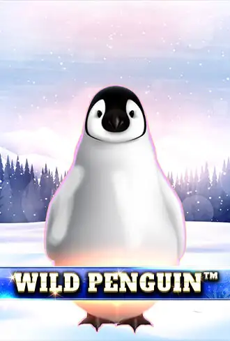 Wild Penguin