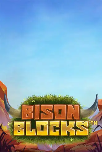 Bison Blocks