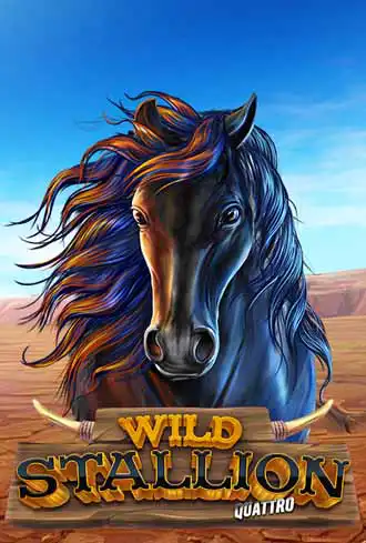 Wild Stallion