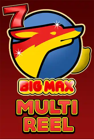 Big Max Multi Reel
