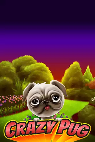 Crazy Pug