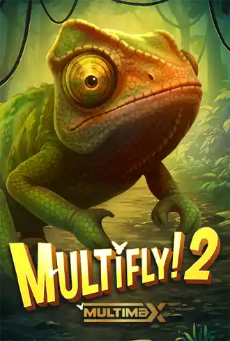 MultiFly! 2 MultiMax
