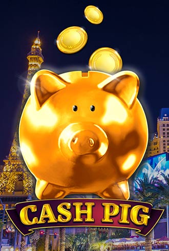 Cash Pig