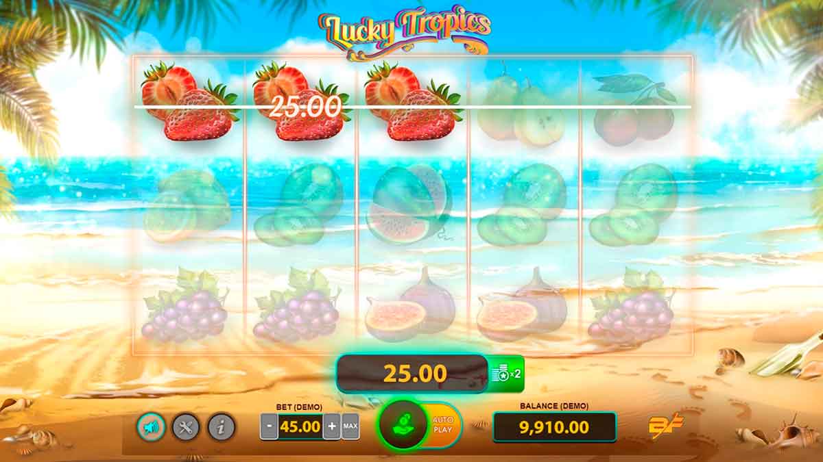 Lucky Tropics